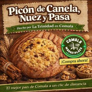 Picón de canela, nuez y pasa (Grande) – Panadería La Trinidad