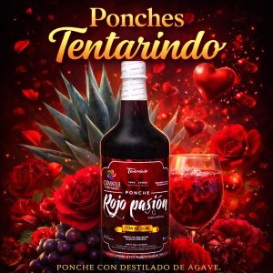 Ponche Rojo Pasión